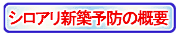 VAVz\h̊Tv
